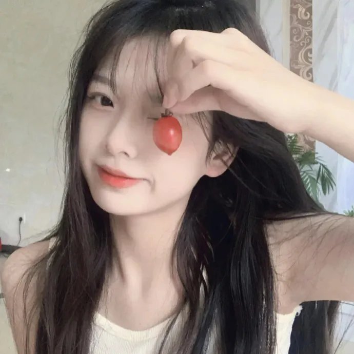 竞选伙伴